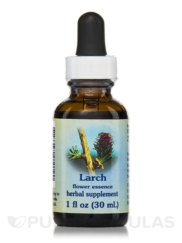 Larch Dropper - 1 fl. oz (30 ml)