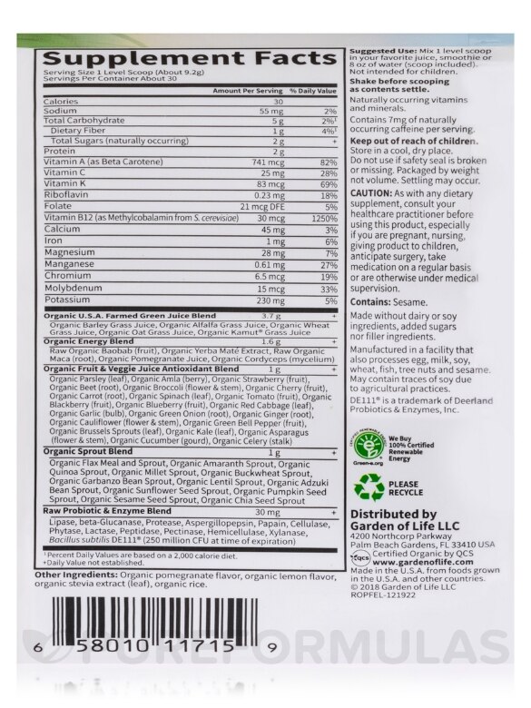 Raw Organic Perfect Food® Energizer Juiced Green Superfood Powder - 9.8 oz (279 Grams) - Alternate View 4