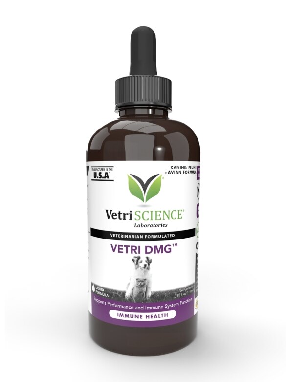 Vetri-DMG Liquid for Dogs