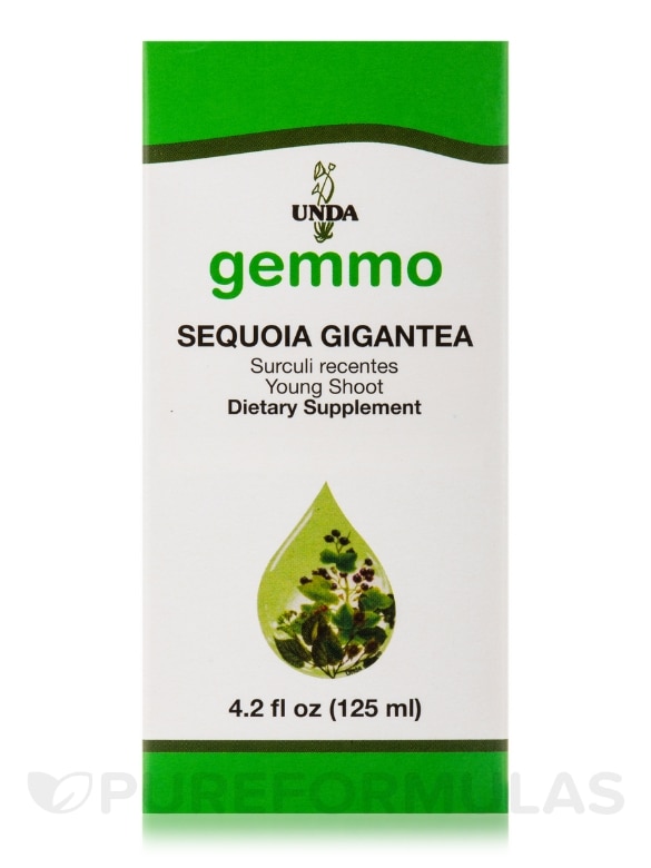 GEMMO - Sequoia Gigantea - 4.2 fl. oz (125 ml)
