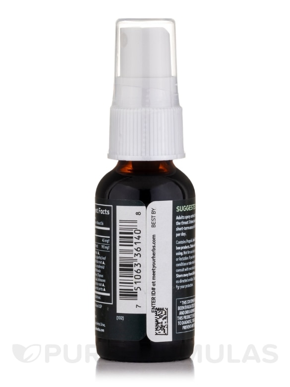 Echinacea Goldenseal Propolis Throat Spray - 1 fl. oz (30 ml) - Alternate View 2