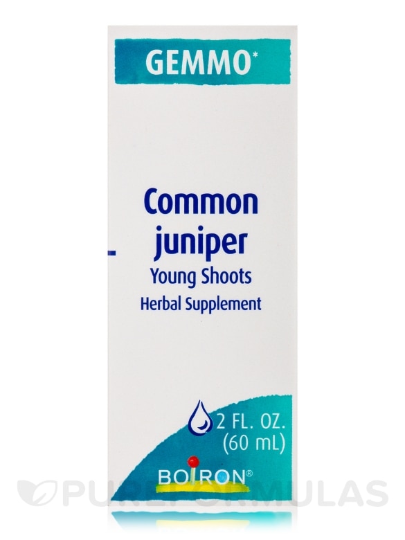 Common Juniper (Young Shoots) - 2 fl. oz (60 ml) - Alternate View 2