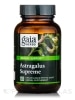 Astragalus Supreme - 60 Vegan Liquid Phyto-Caps® - Alternate View 2