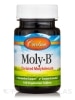 Moly-B™ (Chelated Molybdenum) - 100 Vegetarian Tablets