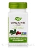 Uva Ursi Leaves - 100 Vegan Capsules