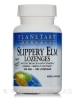 Slippery Elm Lozenges with Echinacea & Vitamin C Tangerine Flavor 200 mg - 100 Count