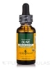Olive Leaf - 1 fl. oz (30 ml)