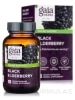 Black Elderberry - 60 Vegan Capsules - Alternate View 1