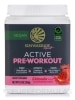 Active Pre-Workout, Watermelon Flavor - 11.1 oz (315 Grams)