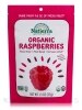 Organic Freeze-Dried Raspberries - 1.3 oz (37 Grams)