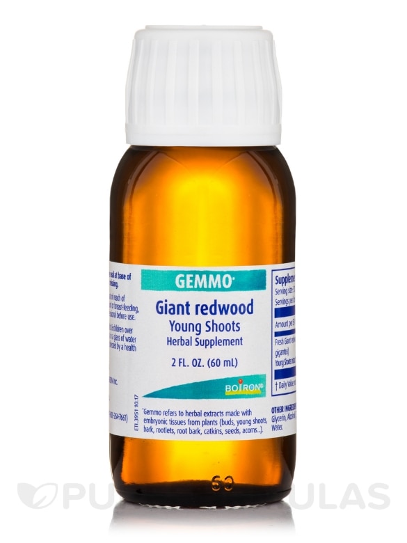 Giant Redwood (Young Shoots) - 2 fl. oz (60 ml) - Alternate View 7