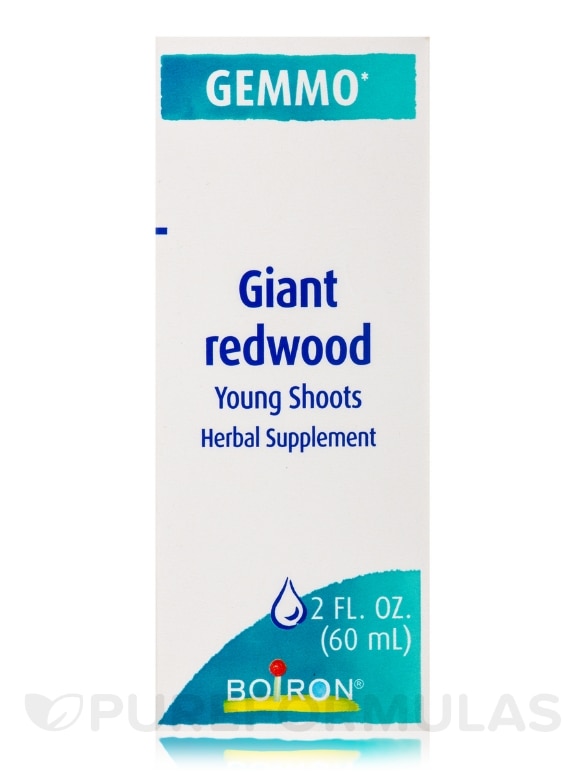 Giant Redwood (Young Shoots) - 2 fl. oz (60 ml) - Alternate View 2