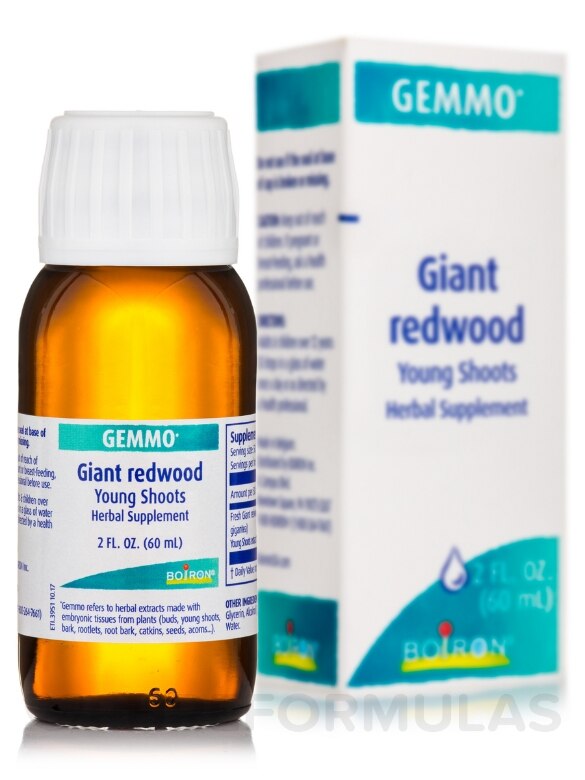 Giant Redwood (Young Shoots) - 2 fl. oz (60 ml) - Alternate View 1