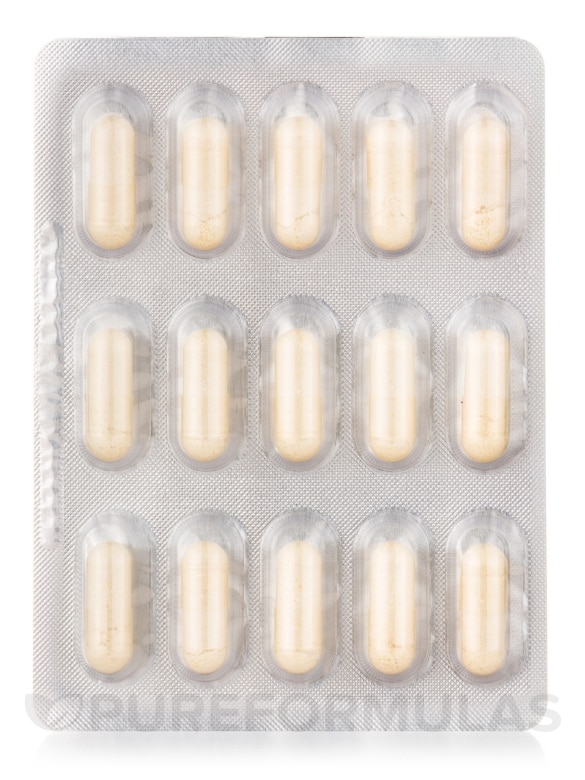 Colon Support Probiotic 20 Billion CFU - 30 Capsules - Alternate View 7