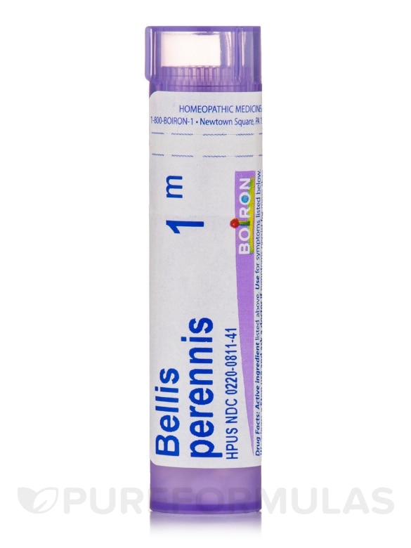 Bellis Perennis 1m - 1 Tube (approx. 80 pellets)