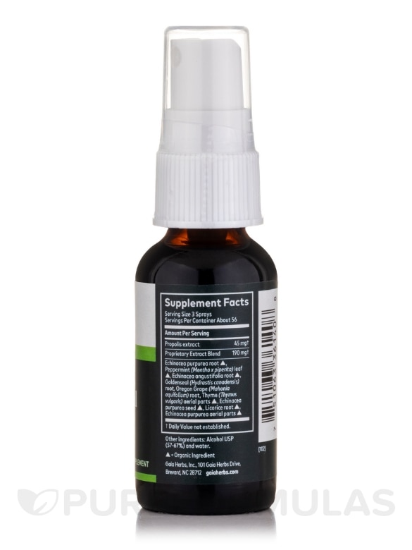 Echinacea Goldenseal Propolis Throat Spray - 1 fl. oz (30 ml) - Alternate View 1