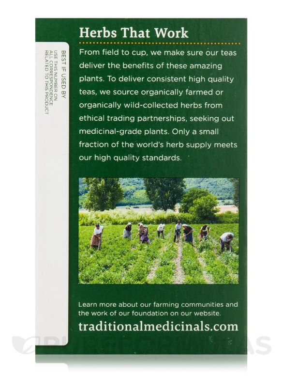 Organic Raspberry Leaf Tea - 16 Tea Bags - Alternate View 4