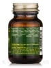 Green Protein Alchemy™ Magic Mint Powder - 0.71 oz (20 Grams) - Alternate View 1
