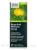 Bronchial Wellness Herbal Syrup - 5.4 fl. oz (160 ml) - Alternate View 3