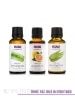 Purify Essential Oil Collection - Save 5% - Alternate View 1