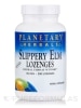 Slippery Elm Lozenges Unflavored 150 mg - 200 Count